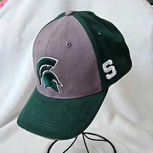 MSU SPARTANS